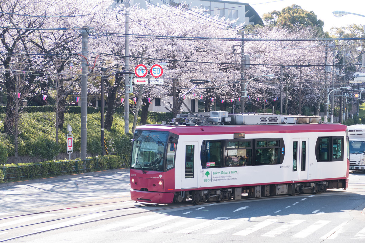 f:id:ripjyr:20200324081825j:plain