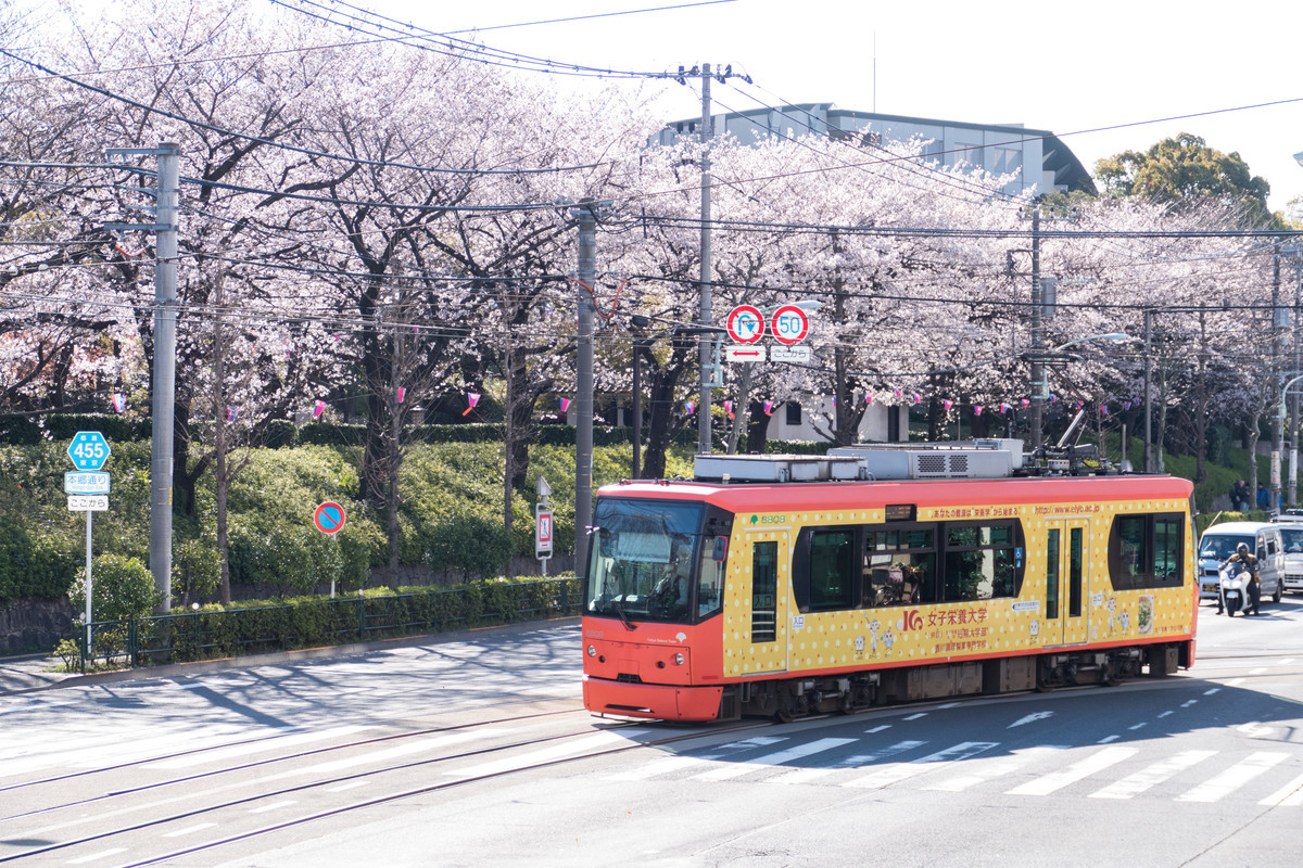 f:id:ripjyr:20200324082216j:plain