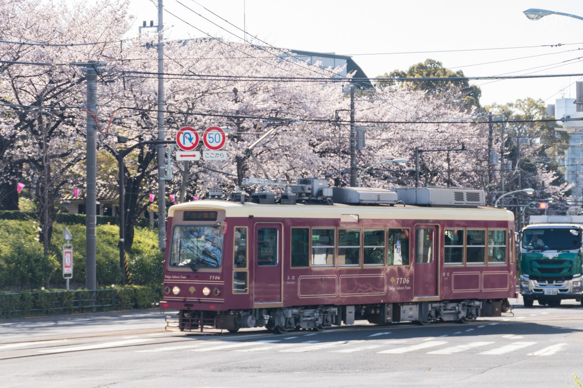 f:id:ripjyr:20200324083322j:plain