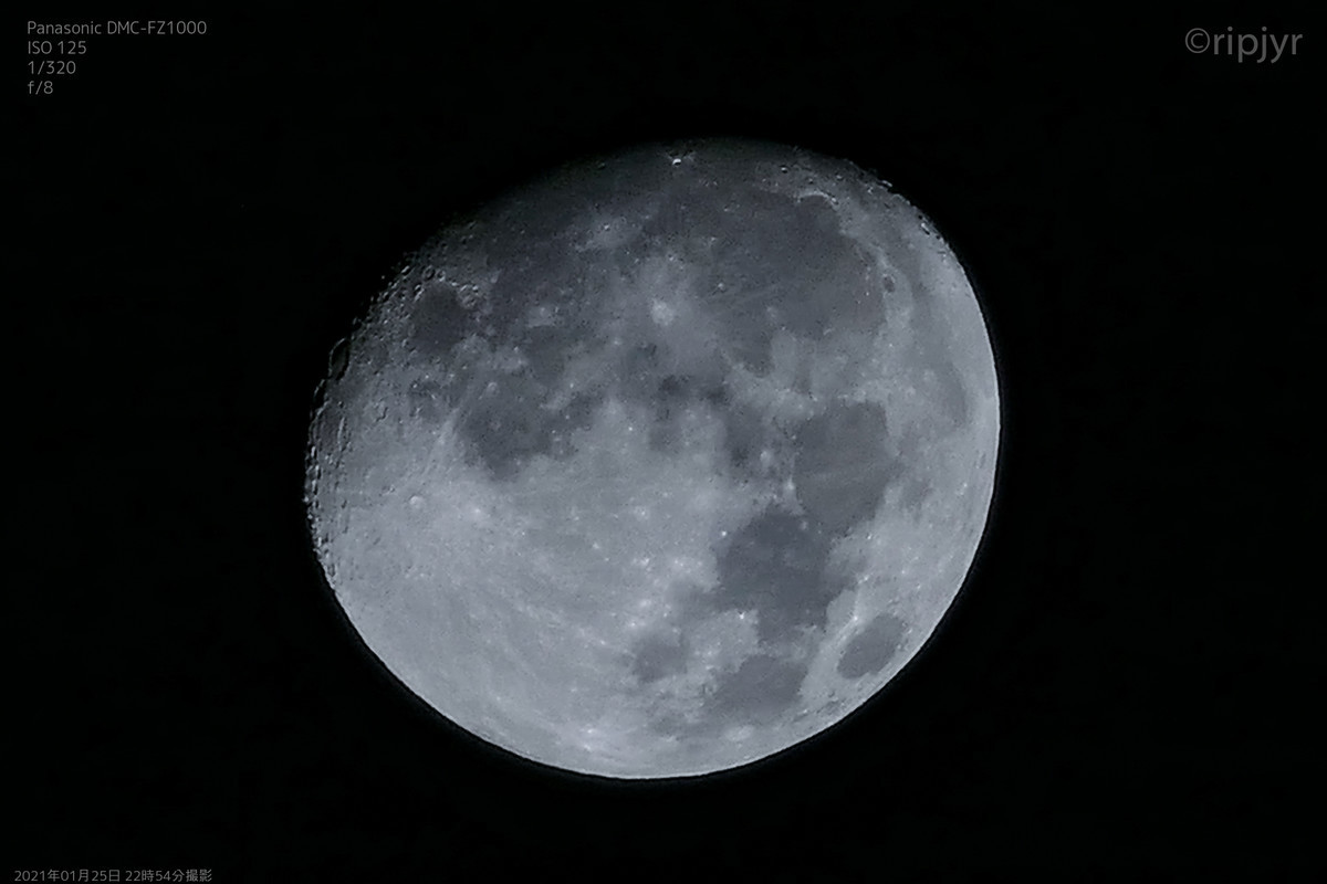 f:id:ripjyr:20210125225419j:plain