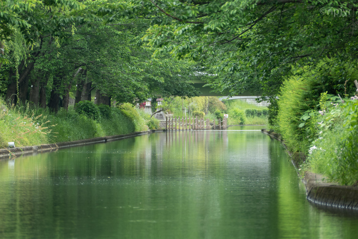 f:id:ripjyr:20210508152009j:plain