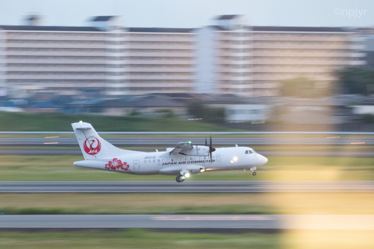 f:id:ripjyr:20210614191754j:plain