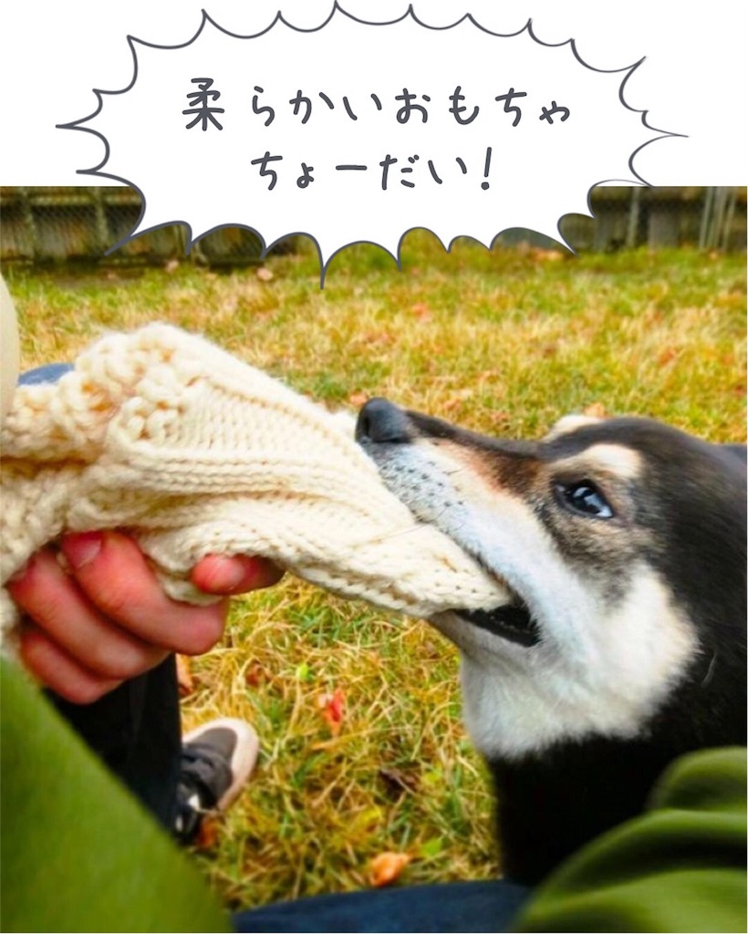 f:id:ripple-dtpweb:20170712113214j:image