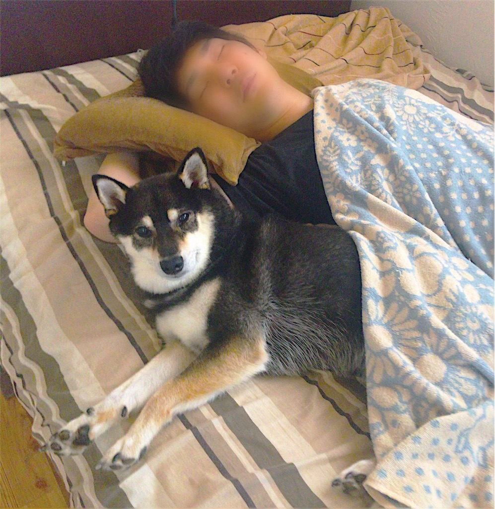 f:id:ripple-dtpweb:20170811192543j:image f:id:ripple-dtpweb:20170811192543j:image