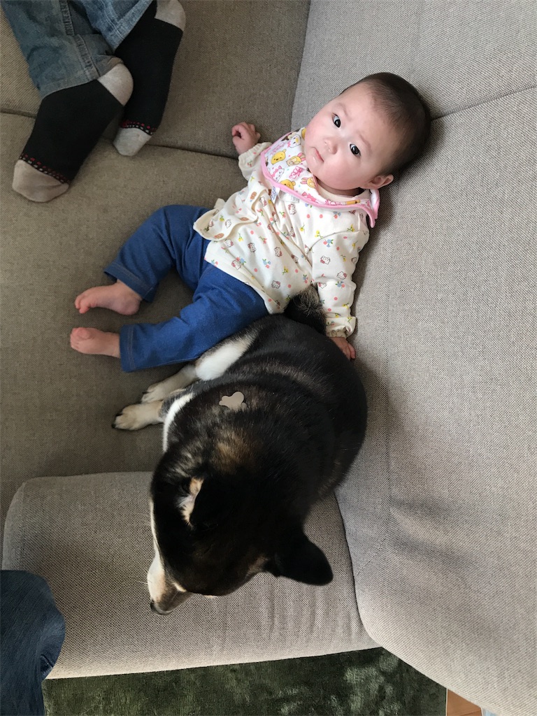 f:id:ripple-dtpweb:20180327093345j:image f:id:ripple-dtpweb:20180327093345j:image