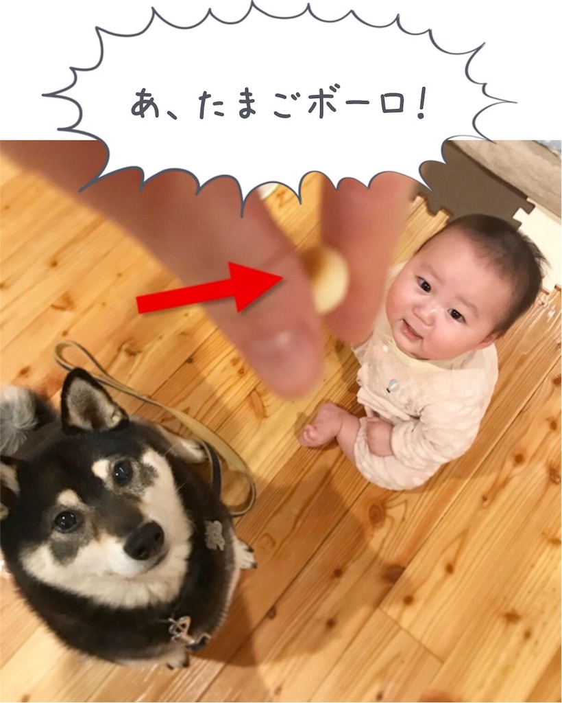 f:id:ripple-dtpweb:20180412214125j:image f:id:ripple-dtpweb:20180412214125j:image