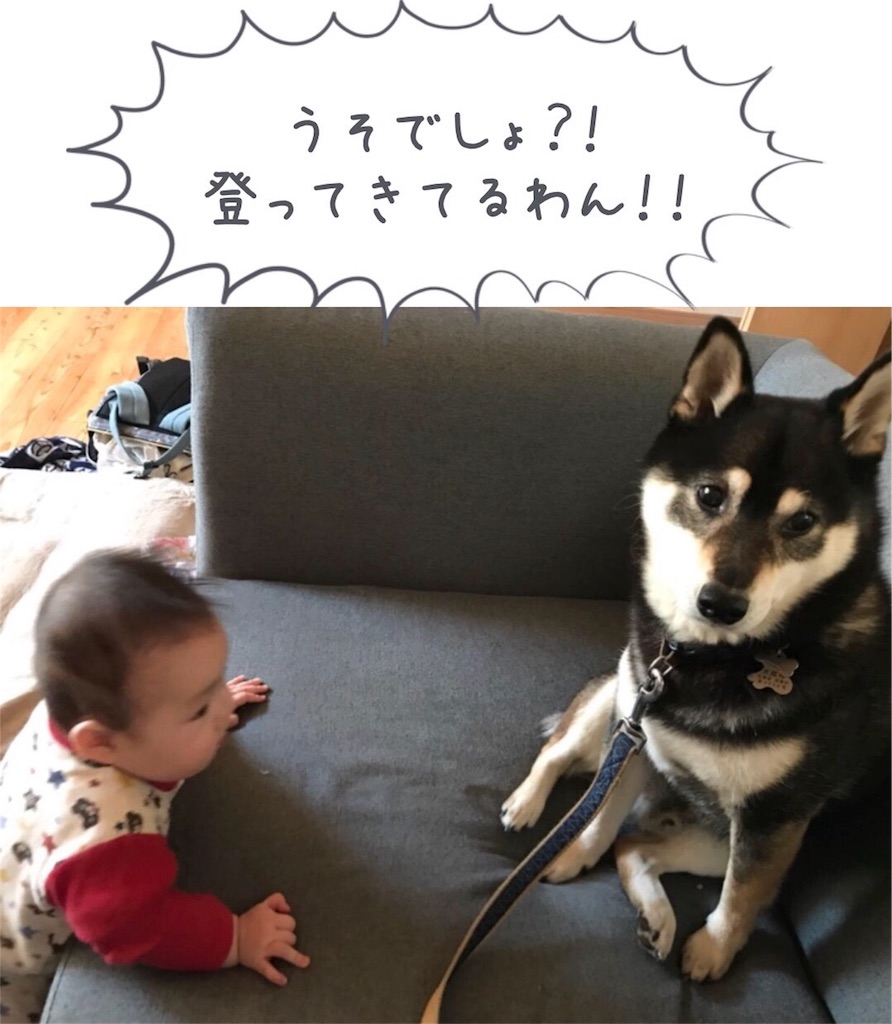 f:id:ripple-dtpweb:20180426190417j:image f:id:ripple-dtpweb:20180426190417j:image