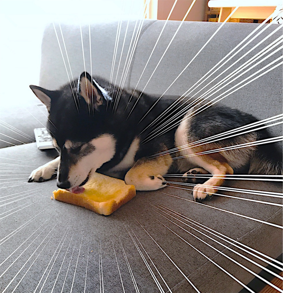 f:id:ripple-dtpweb:20191115145403j:image