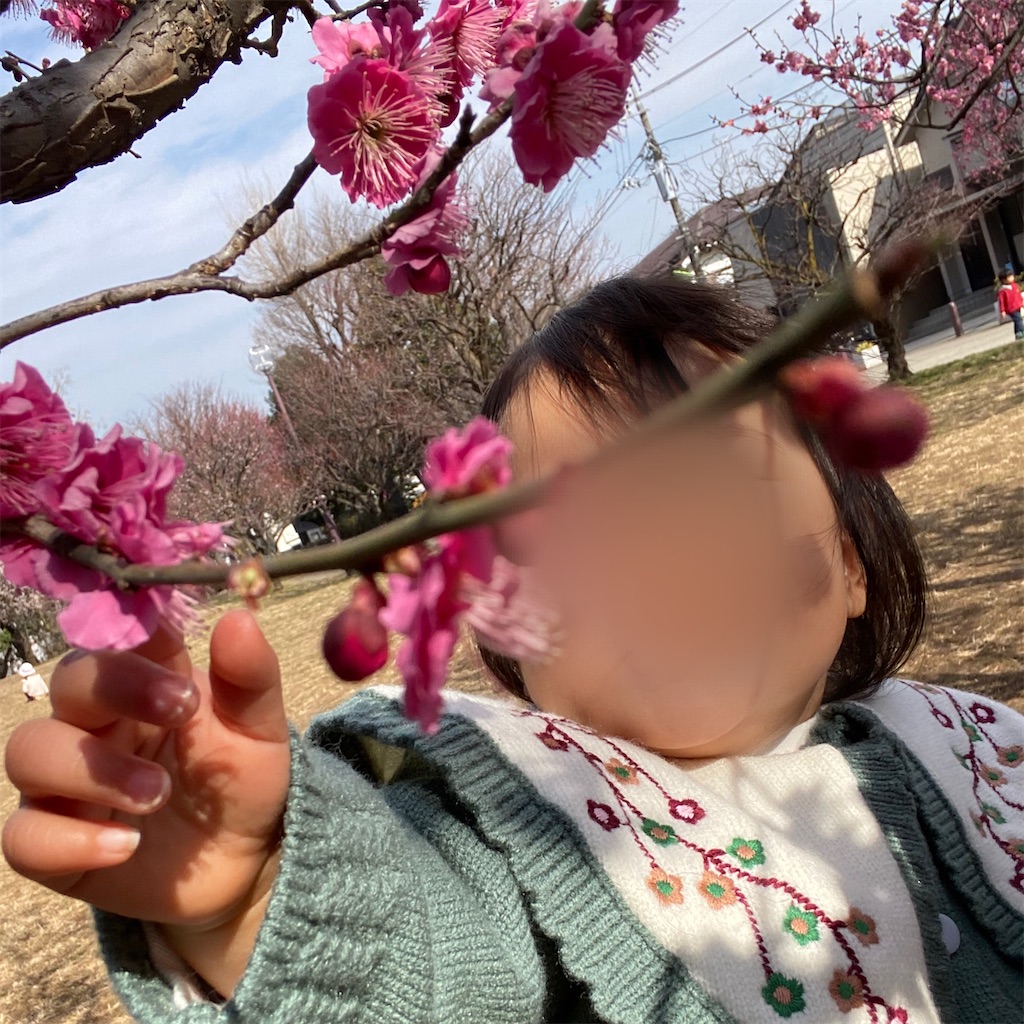 f:id:ripplechang:20220316145854j:plain