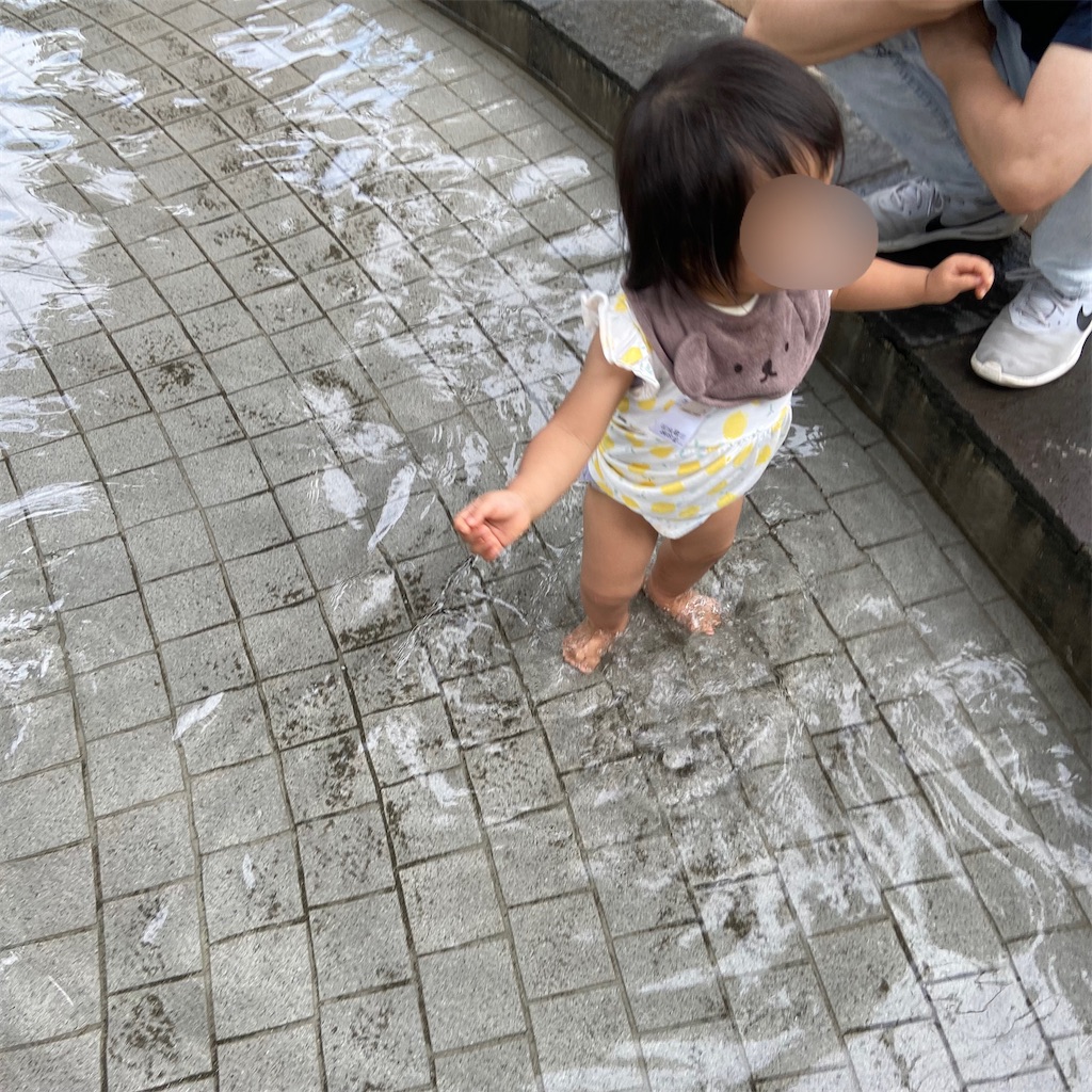 f:id:ripplechang:20221127110446j:image