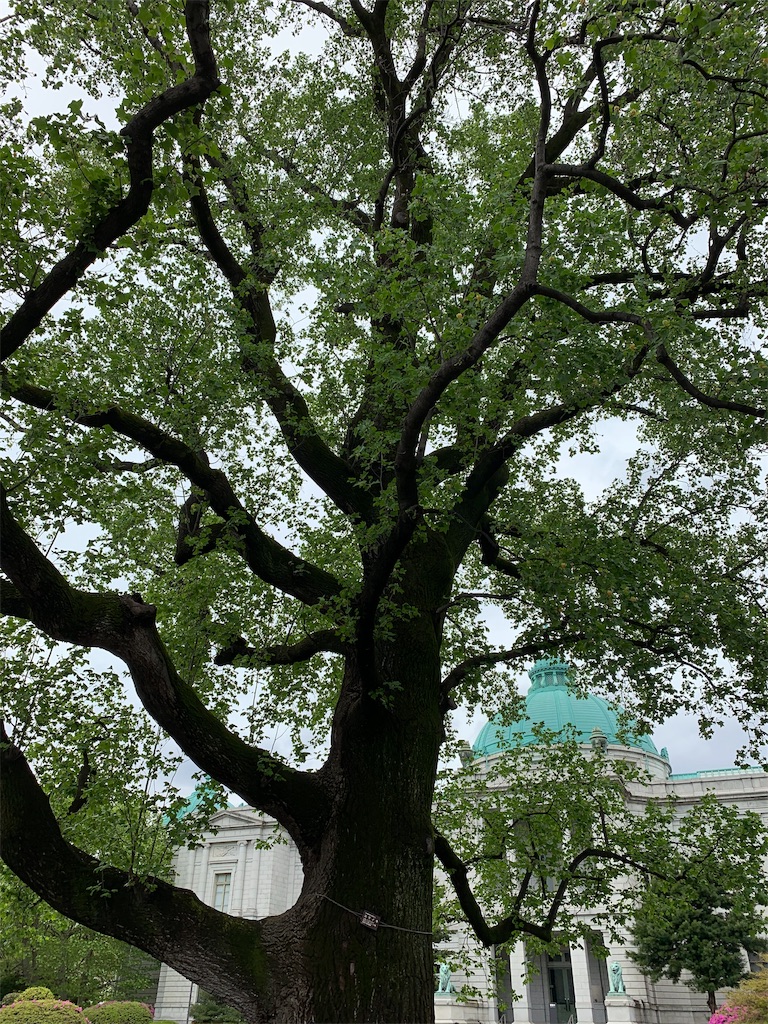 f:id:ripplesofadventure:20190501131305j:image