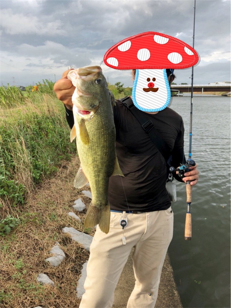 f:id:riprizer110:20180828225245j:image