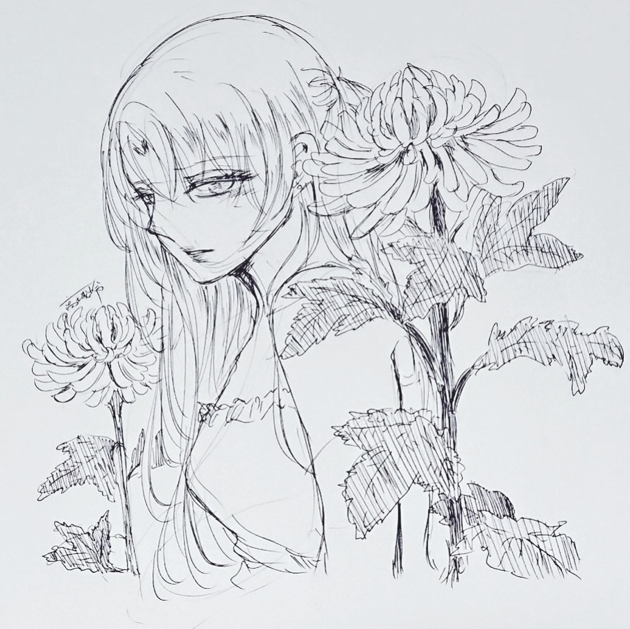 菊の花