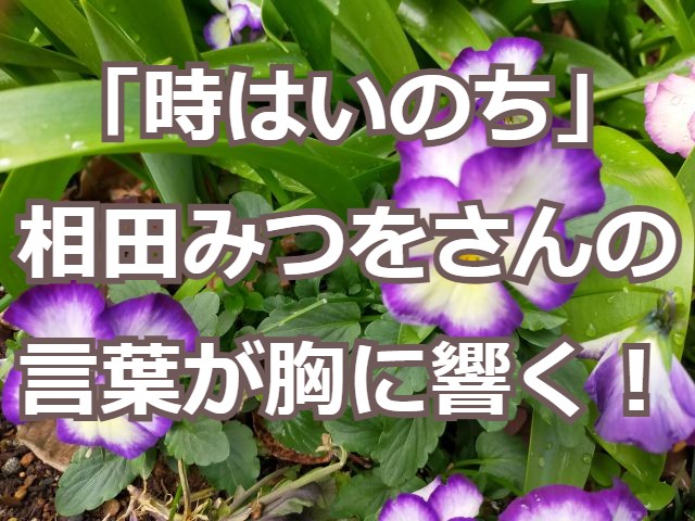 時はいのち 相田みつをさんの言葉が胸に響く Snsでも話題 りらっくすぅーる