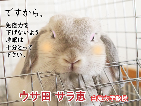f:id:ririblo:20200427100217j:plain f:id:ririblo:20200427100217j:plain