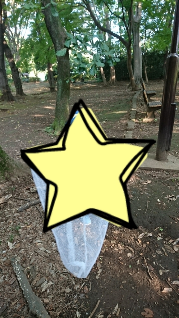 f:id:ririiro:20180813201355j:plain f:id:ririiro:20180813201355j:plain