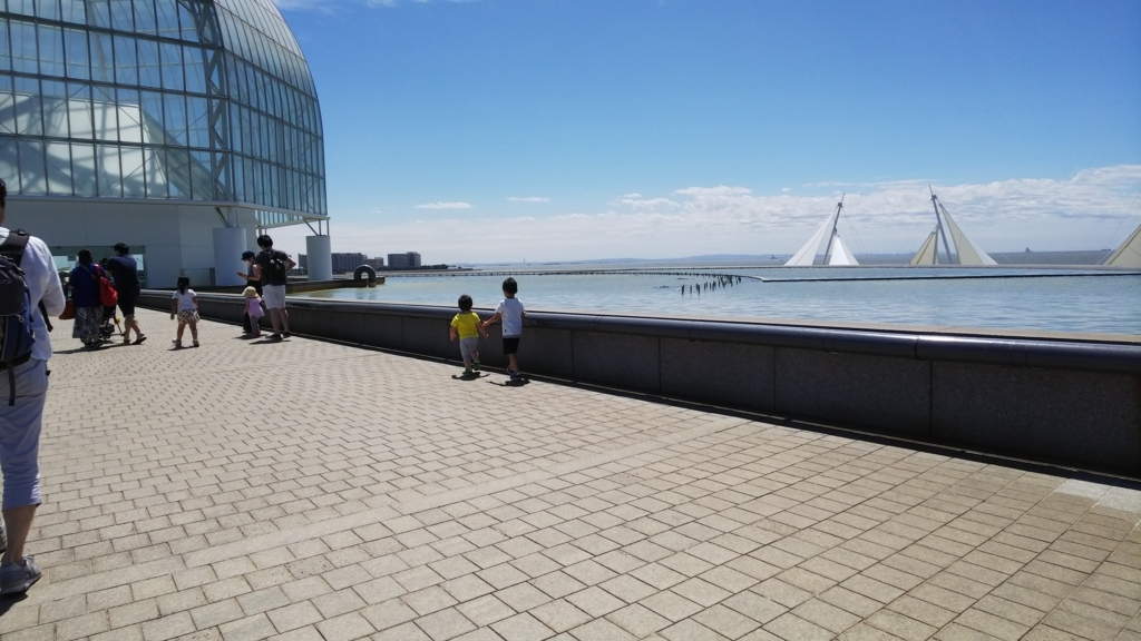 f:id:ririiro:20180817230128j:plain f:id:ririiro:20180817230128j:plain