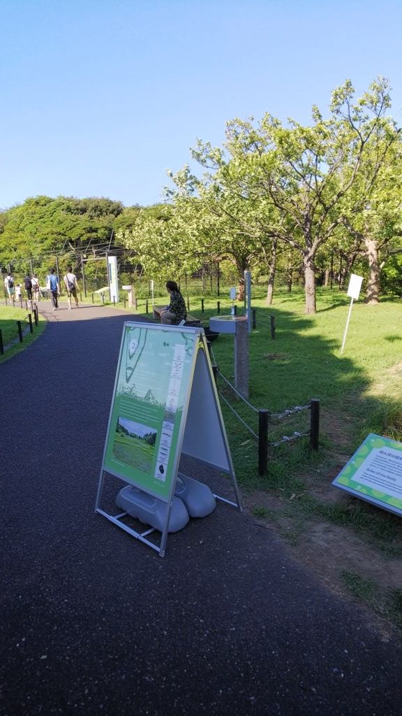 f:id:ririiro:20180817232230j:plain f:id:ririiro:20180817232230j:plain