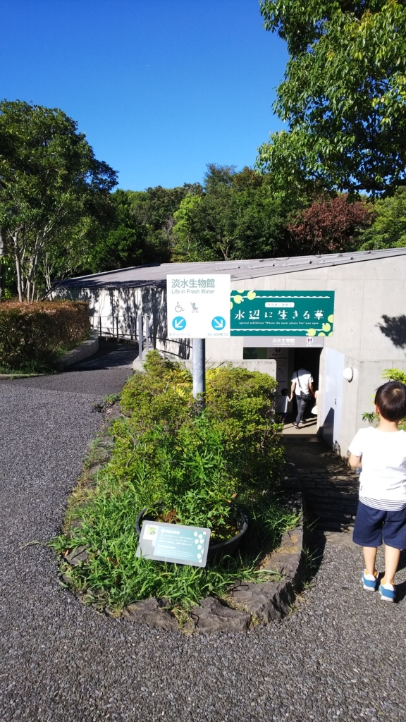 f:id:ririiro:20180817232344j:plain f:id:ririiro:20180817232344j:plain