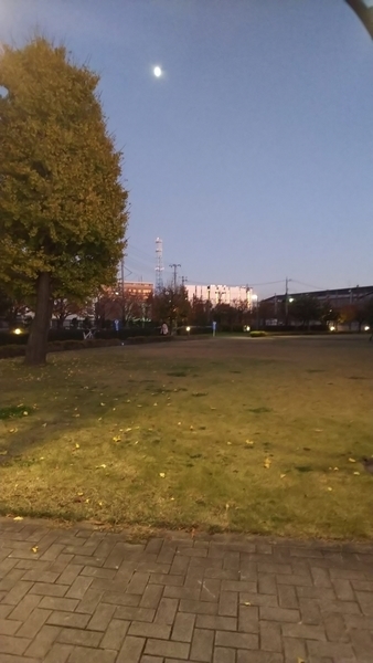 f:id:ririiro:20191222002140j:plain f:id:ririiro:20191222002140j:plain