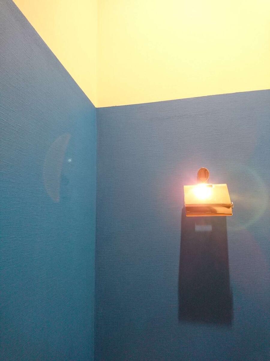 トイレのDIYペンキ塗り