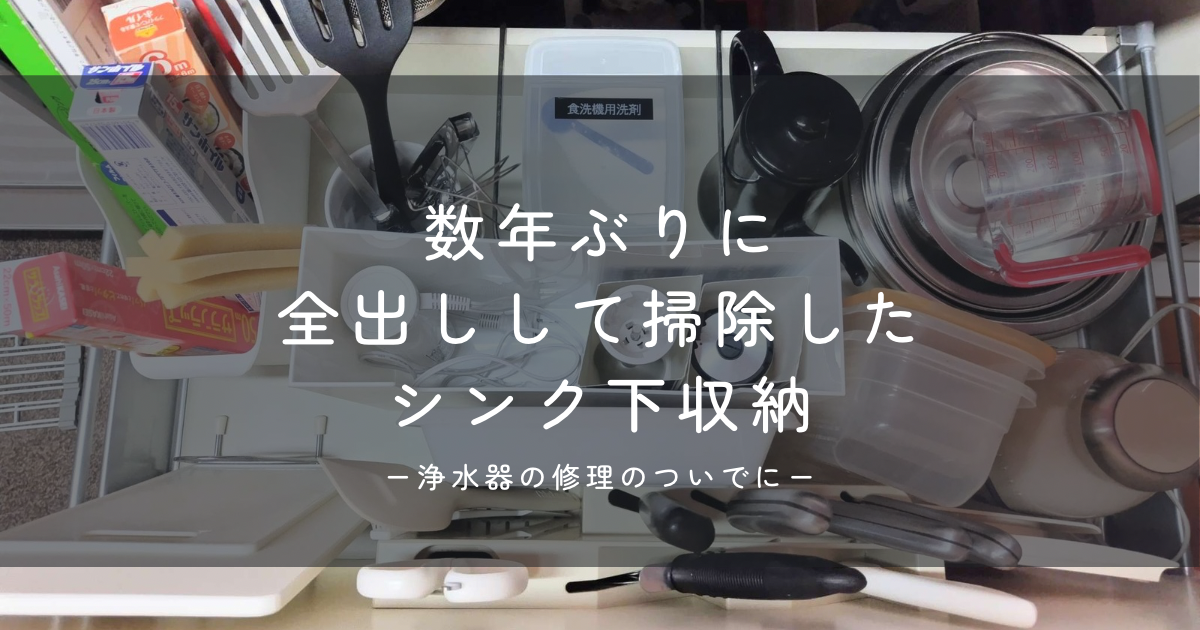 数年ぶりに掃除したシンク下収納