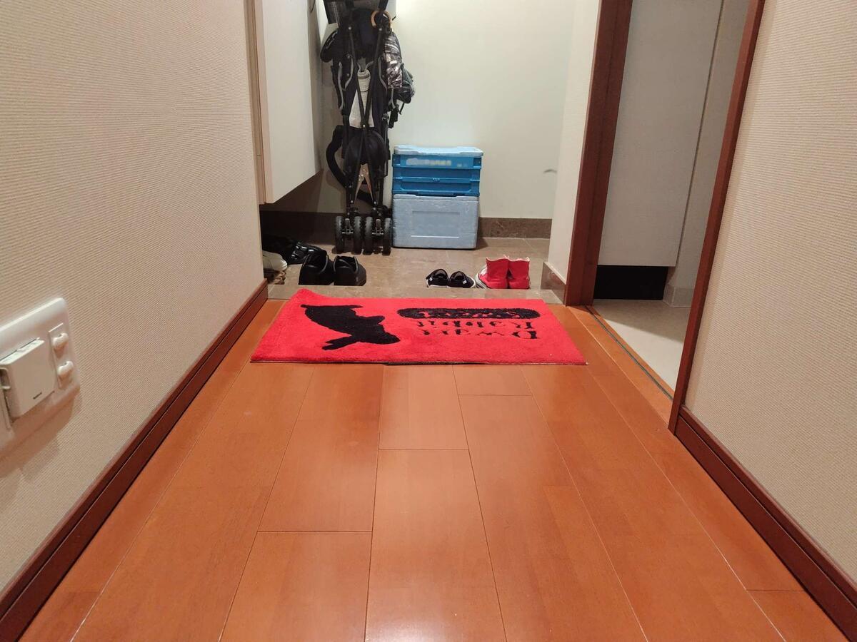 玄関マットの処分 before