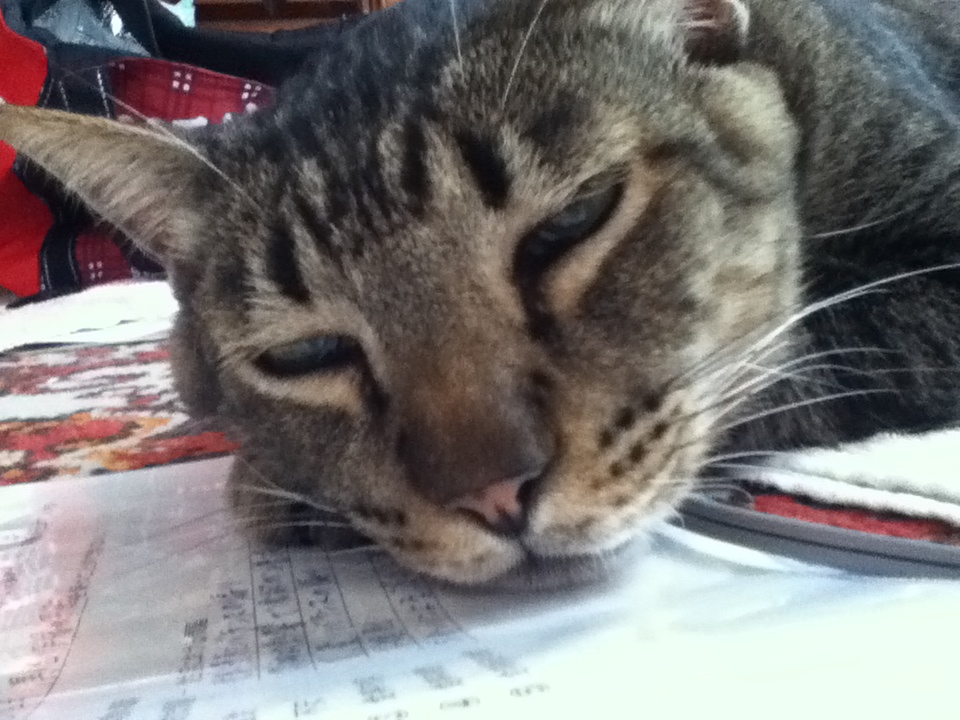 f:id:ririko69:20180720160224j:plain