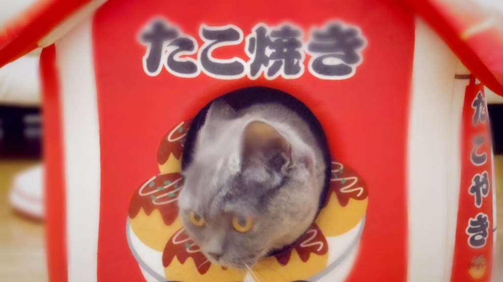 f:id:ririko69:20180720171800j:plain