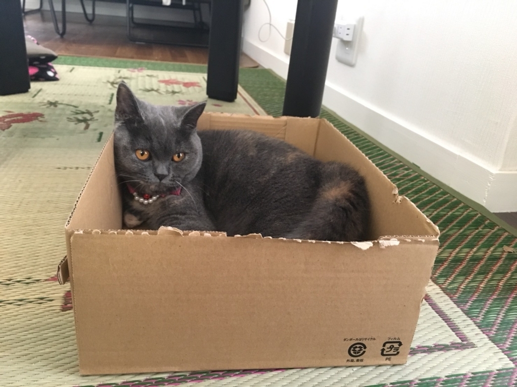 f:id:ririko69:20180722000059j:plain