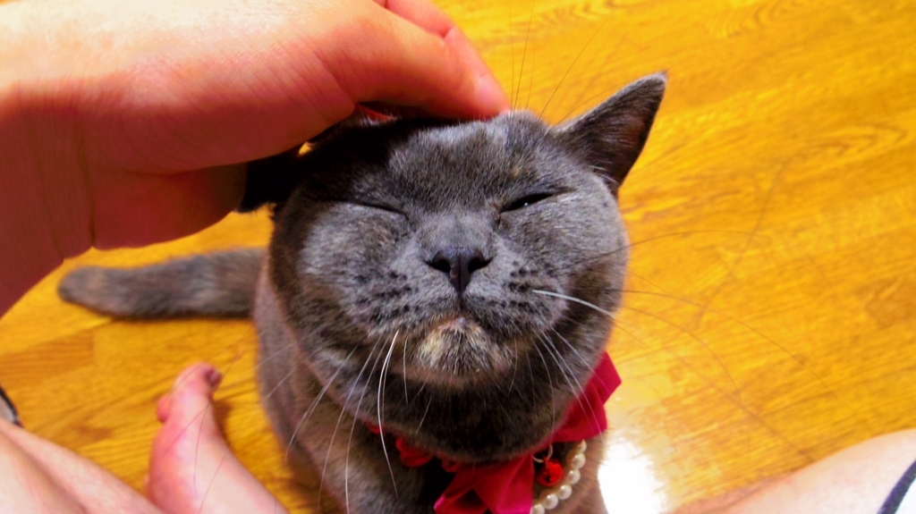 f:id:ririko69:20180722004223j:plain