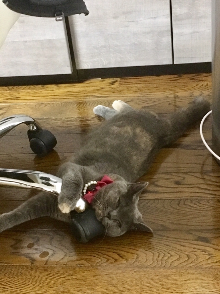 f:id:ririko69:20180723011106j:plain