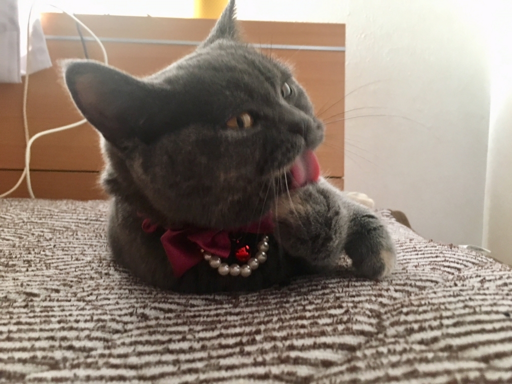 f:id:ririko69:20180723020937j:plain