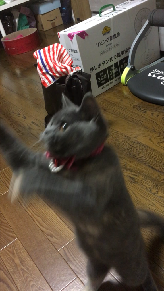 f:id:ririko69:20180723214231p:plain