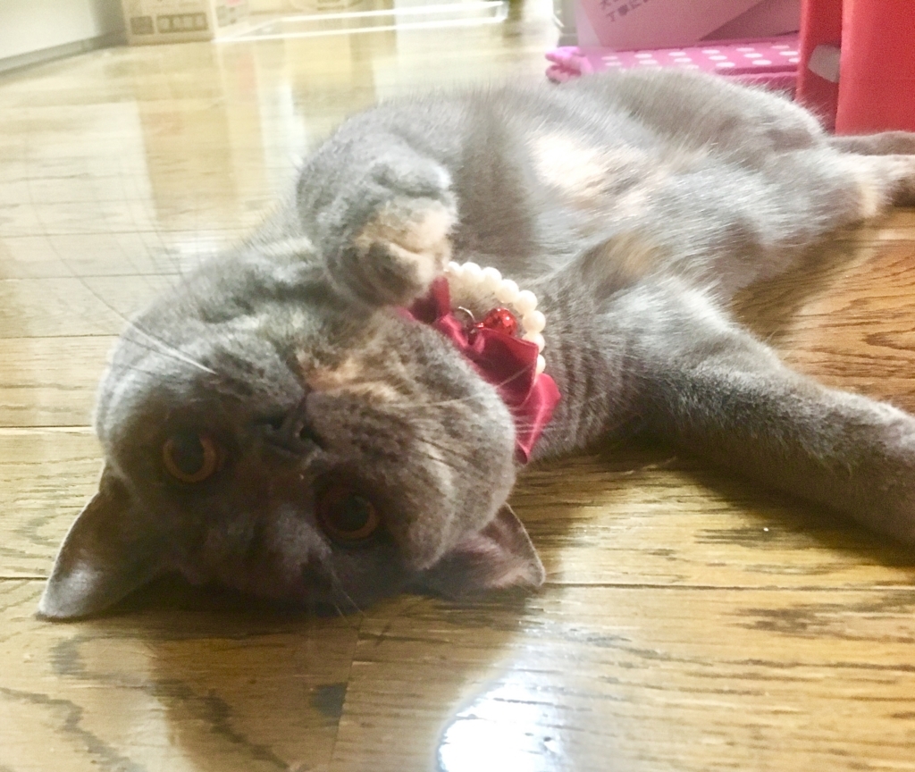 f:id:ririko69:20180723224223j:plain