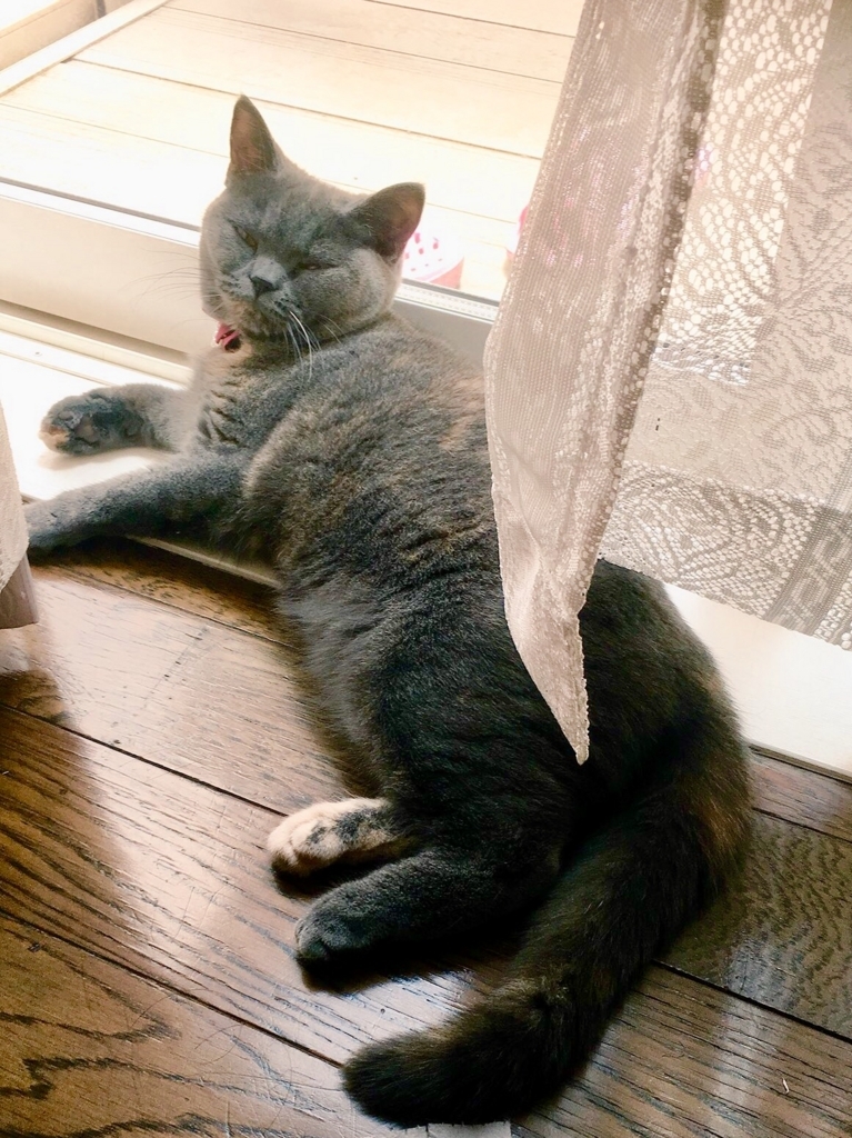 f:id:ririko69:20180723224557j:plain