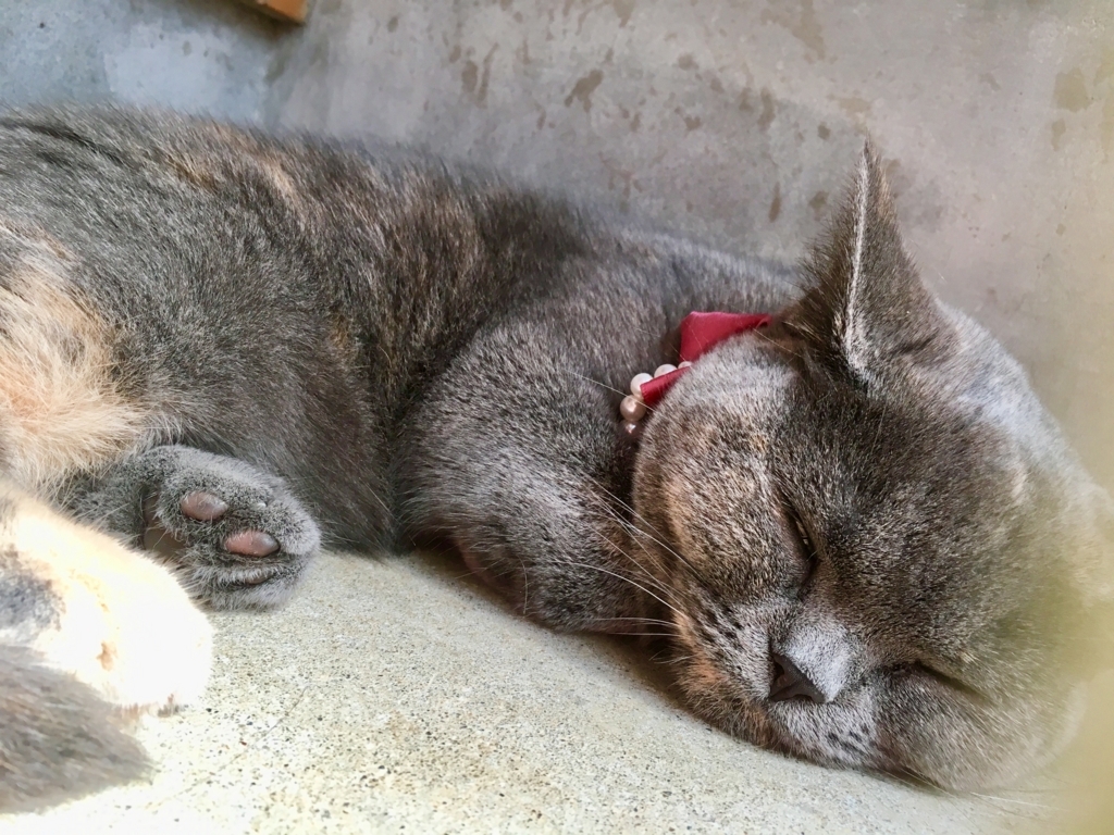 f:id:ririko69:20180724233005j:plain