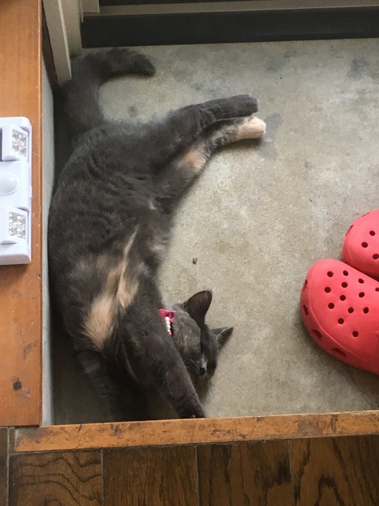 f:id:ririko69:20180725000507j:plain