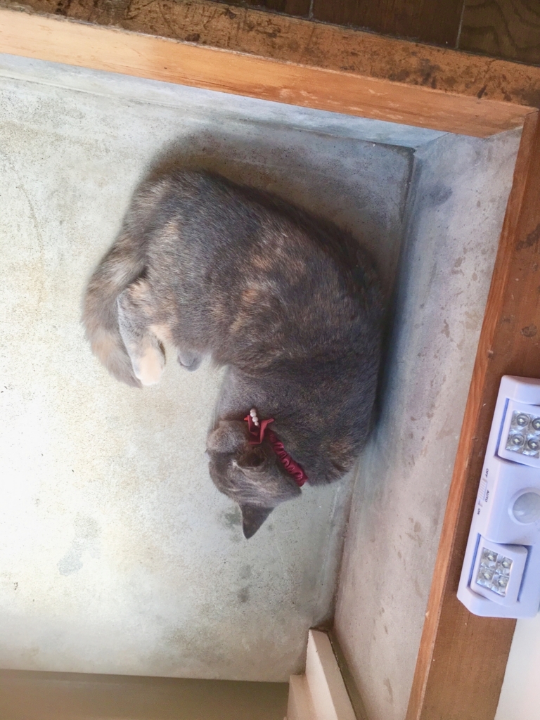 f:id:ririko69:20180725001103j:plain