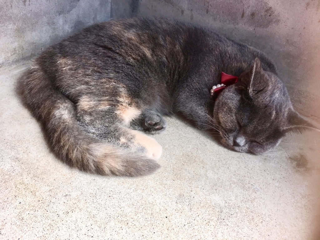 f:id:ririko69:20180725001256j:plain