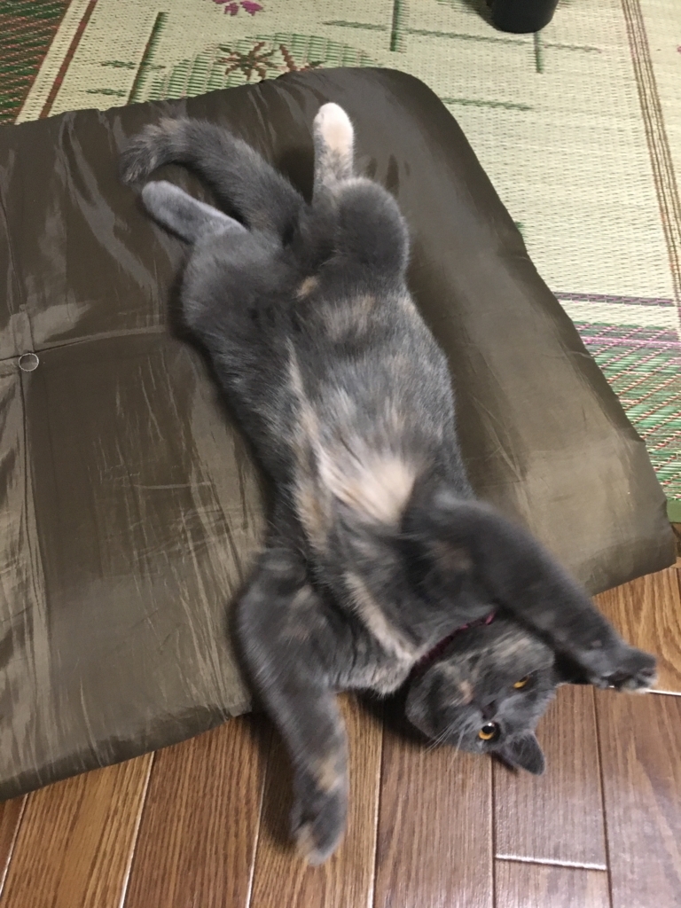 f:id:ririko69:20180727001300j:plain