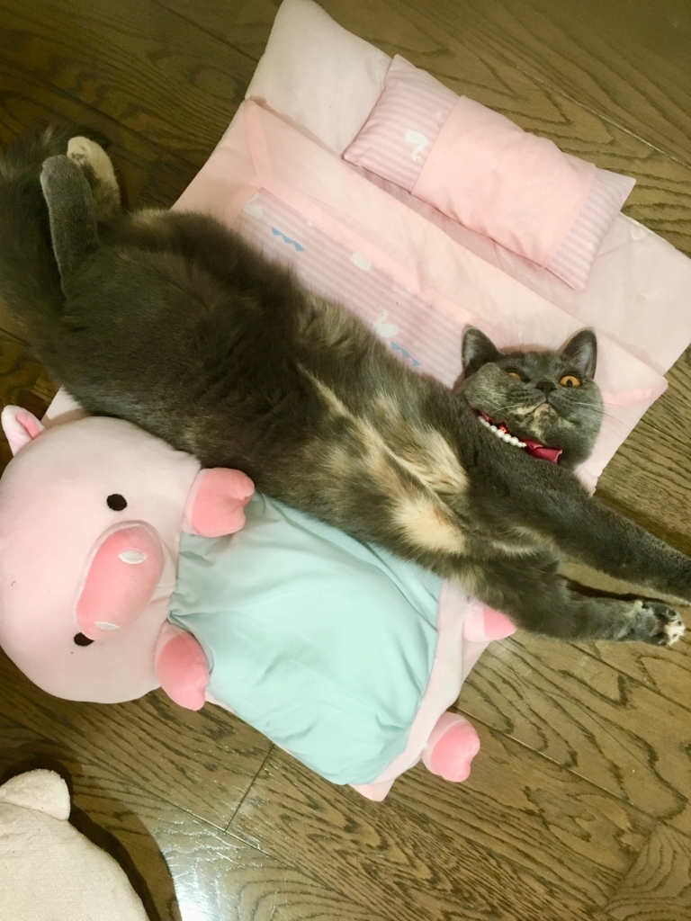 f:id:ririko69:20180727002346j:plain