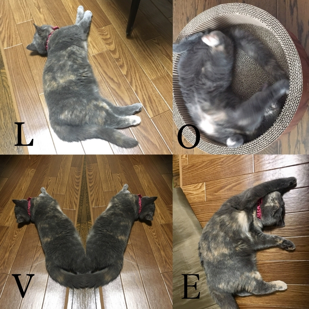 f:id:ririko69:20180727003437j:plain