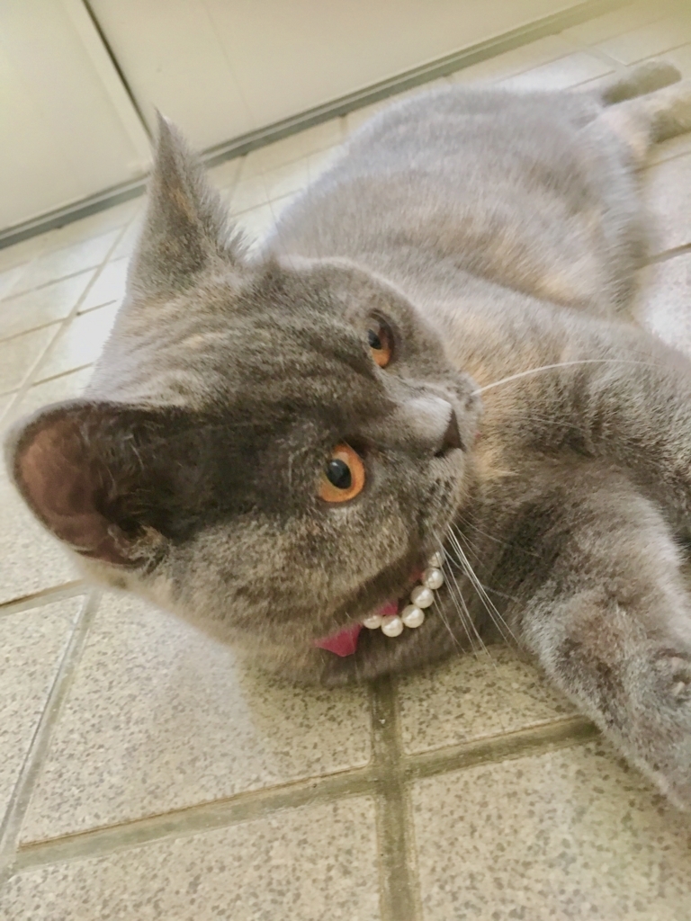 f:id:ririko69:20180727235042j:plain f:id:ririko69:20180727235042j:plain