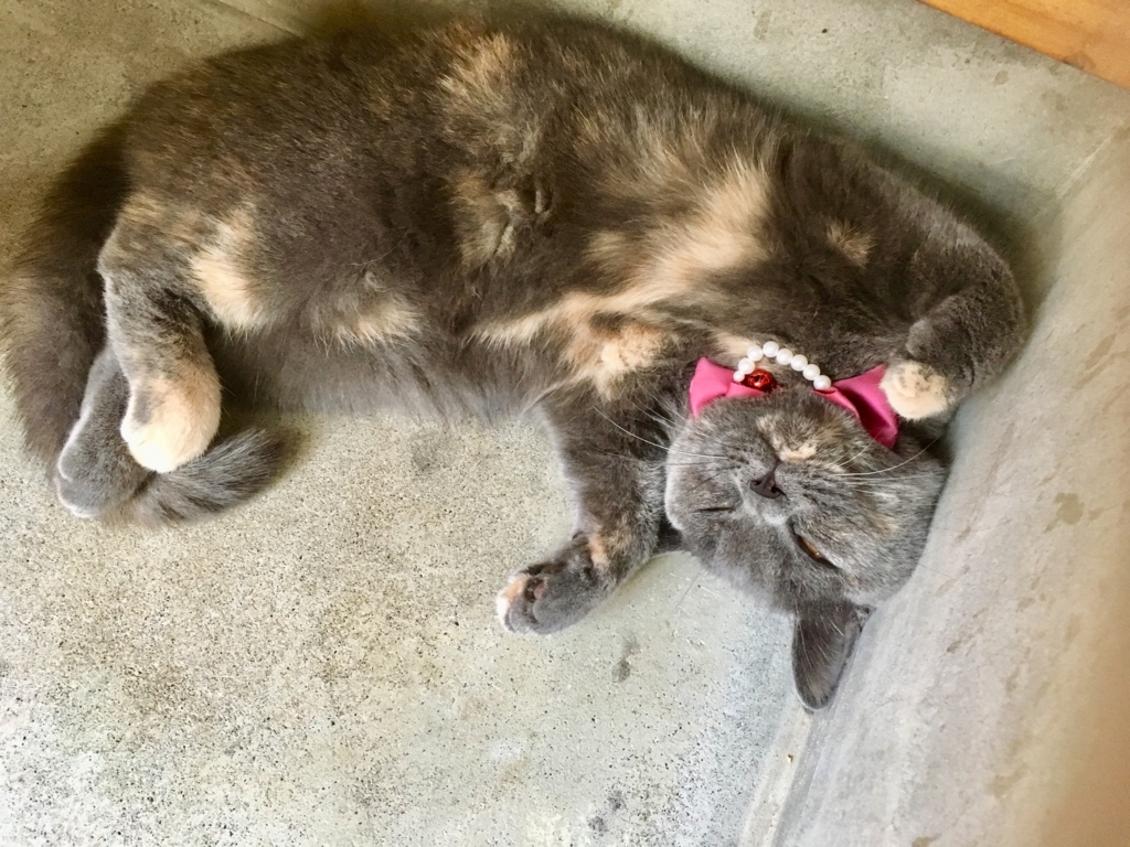 f:id:ririko69:20180727235520j:plain f:id:ririko69:20180727235520j:plain