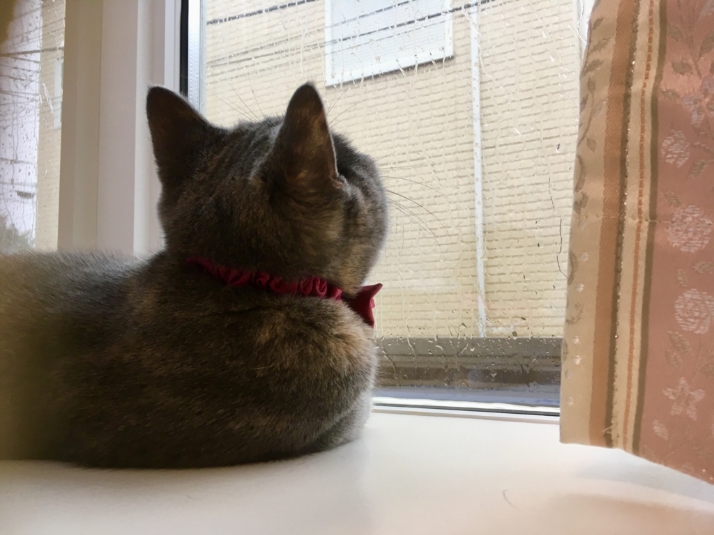 f:id:ririko69:20180728213302j:plain f:id:ririko69:20180728213302j:plain