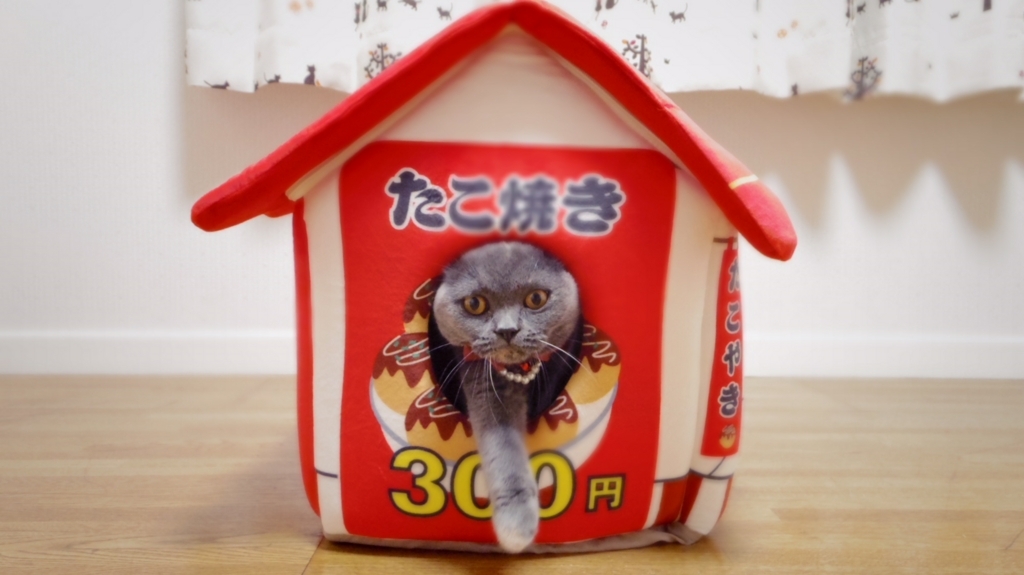 f:id:ririko69:20180728213450j:plain f:id:ririko69:20180728213450j:plain