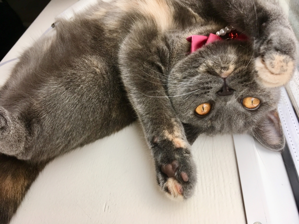 f:id:ririko69:20180729231230j:plain f:id:ririko69:20180729231230j:plain