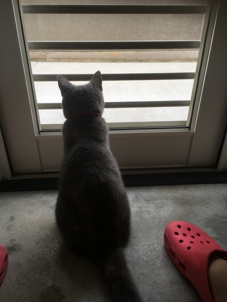 f:id:ririko69:20180729233326j:plain f:id:ririko69:20180729233326j:plain