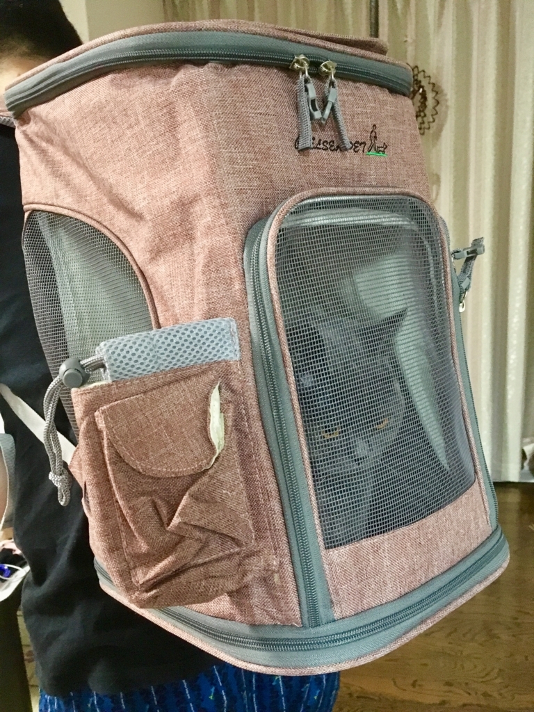 f:id:ririko69:20180730000617j:plain f:id:ririko69:20180730000617j:plain